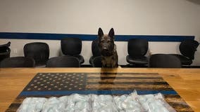K-9 saves 'countless lives' after seizing 60,000 fentanyl pills in Placer County