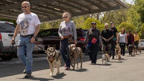Pets and Vets program fosters and trains rescue dogs to change veterans’ lives