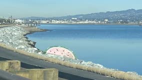 'Watermelon Rock' resurfaces along shoreline after mysterious disappearance