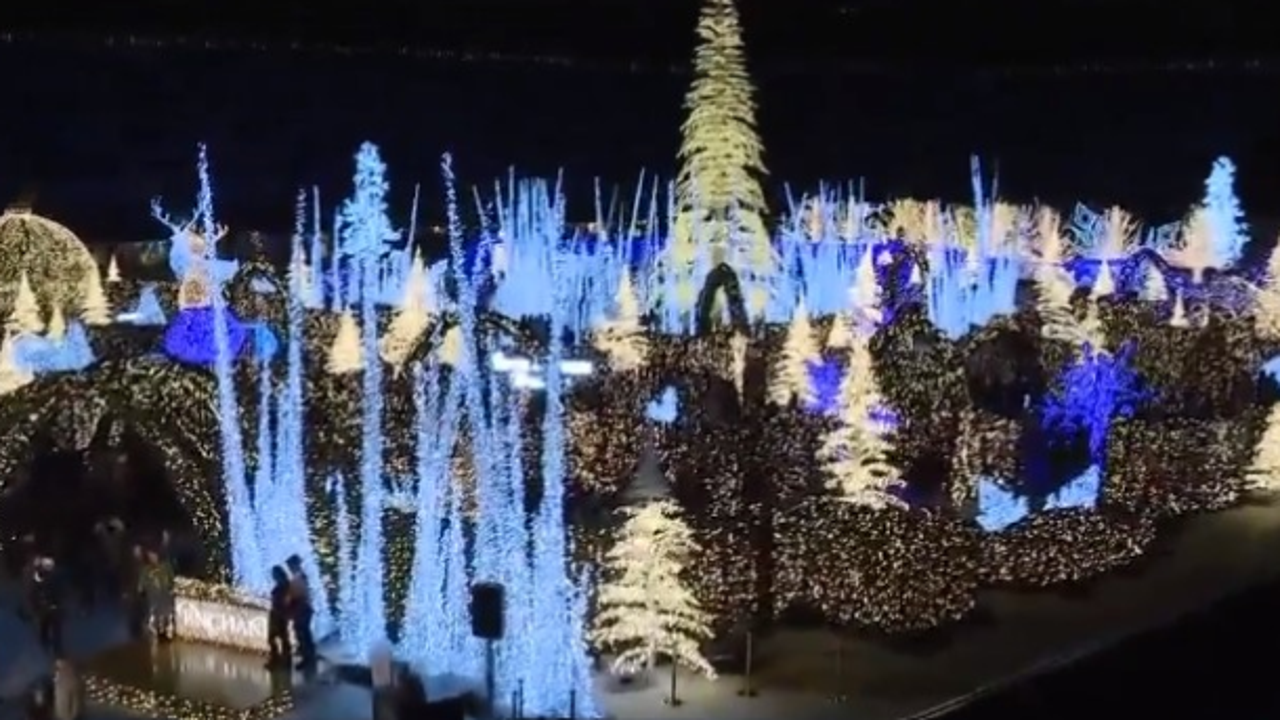 The very best Bay Area holiday light displays