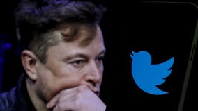 Twitter's ex-head of safety reportedly flees Bay Area following attacks from Musk