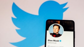 Elon Musk says Twitter has new CEO