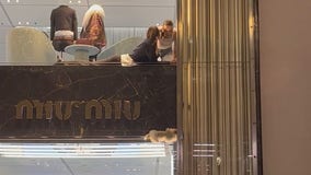 Stuck puppy rescued from a window at a high-end London store