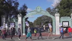 UC postdoc and academic researchers end strike; graduate students continue work stoppage