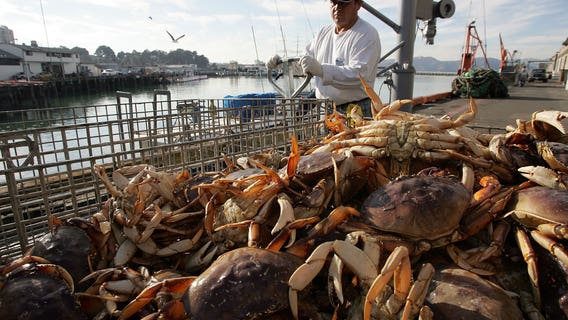 'Off-the-boat' Dungeness crab for sale this weekend in San Francisco