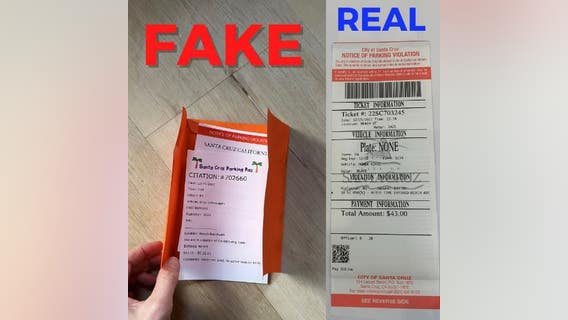 19-year-old busted in bogus parking ticket in Santa Cruz