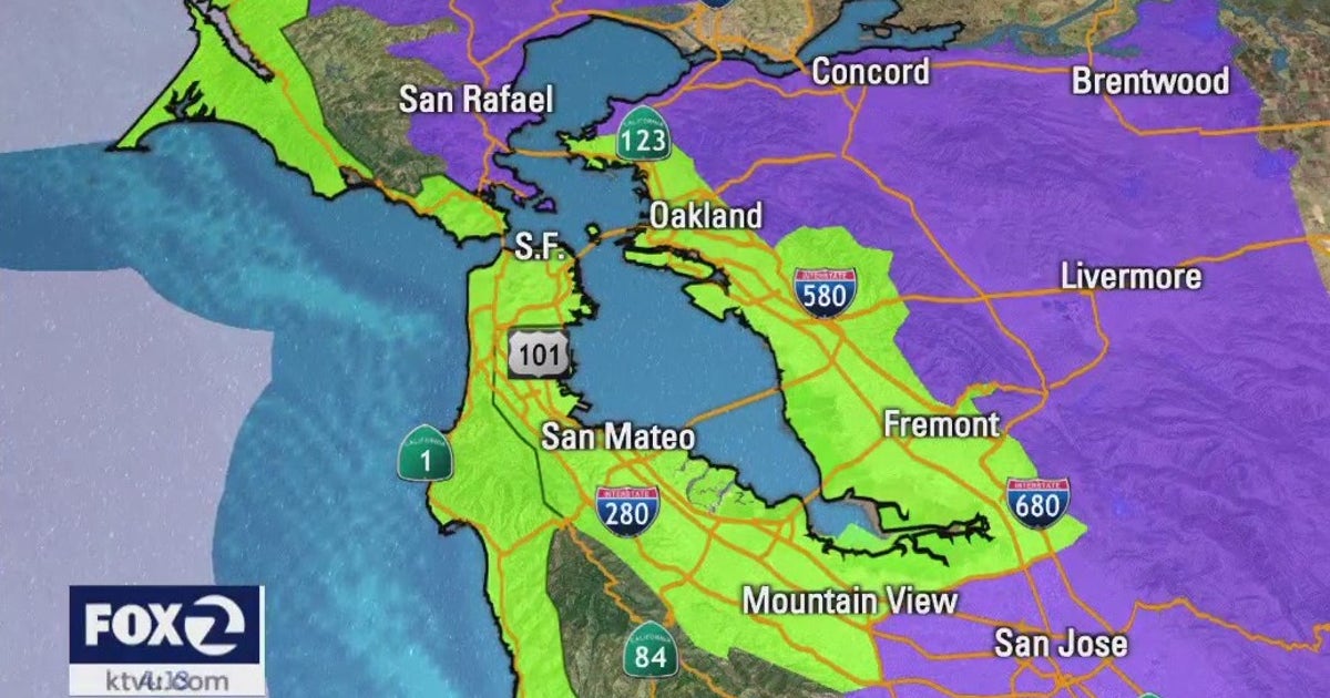 Rain is gone but frost is here: Freeze warning in effect throughout Bay ...