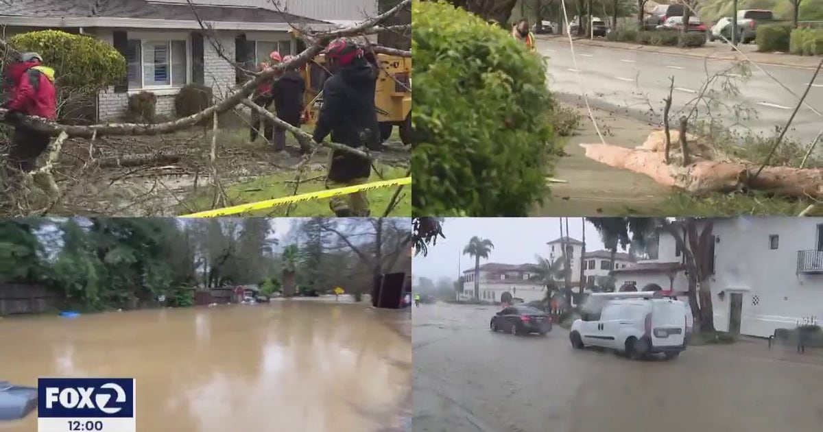 In pictures: Destruction from storms lashing Bay Area | KTVU FOX 2