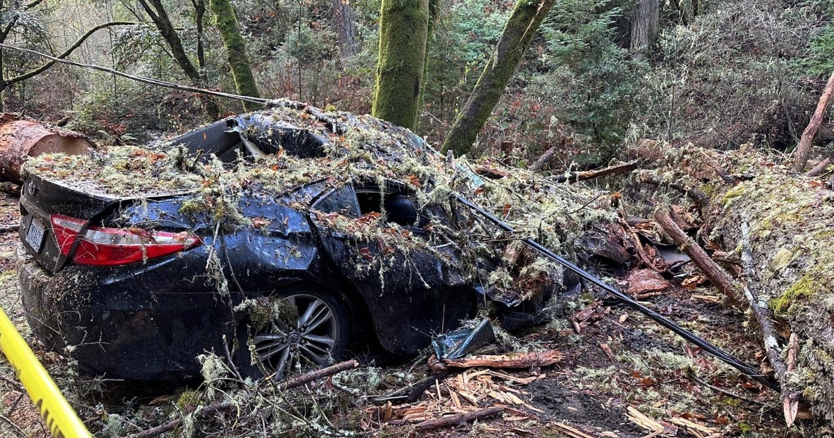 Don't get caught off guard in the Bay Area's next 'brutal' storm | KTVU ...