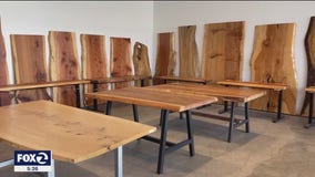 East Bay company repurposing fallen trees to make stunning furniture