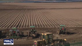 California farmers trying to assess damage after massive winter storms