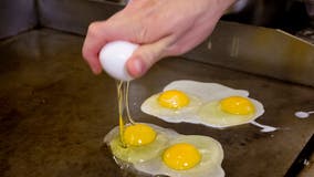 It's no yolk: nationwide egg shortage rages on