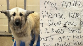 Abandoned dog found with handwritten note reunites with owner
