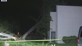 Tree topples on vacant Foster City church, Jeep