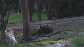 Landslide cancels activities at Cal's Golden Bear Rec Center