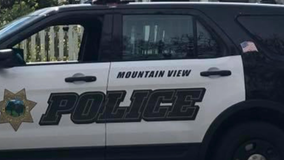 Armed suspects rob Mountain View jewelry store, shoot towards witness: Police