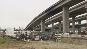 Judge temporarily stops Oakland's plan to clean out Wood Street encampment