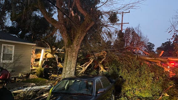 1 man injured when tree crashes through Castro Valley house