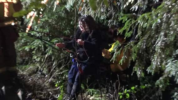 Man, woman, dog rescued after car careens off Highway 17 embankment
