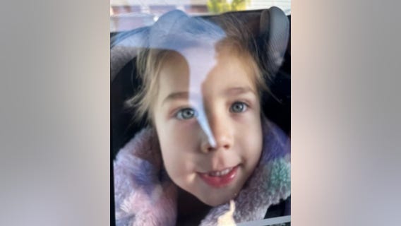 3-year-old girl missing, possibly abducted by father: San Mateo Sheriff