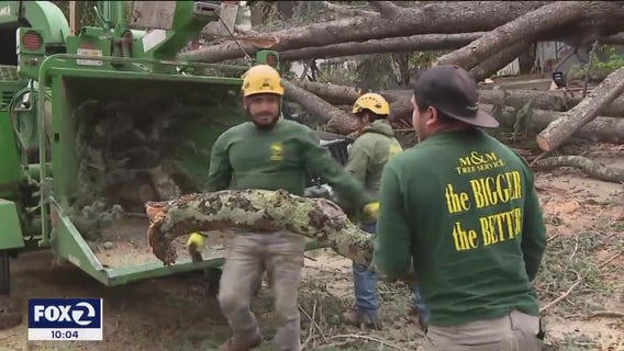 Tree trimmers struggle to keep up with storm-related cleanup