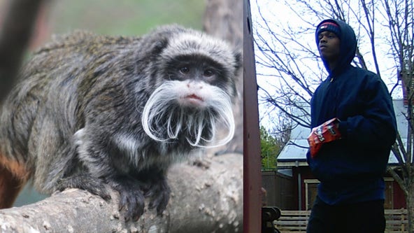Dallas Zoo Mystery: Police want to talk to man about missing monkeys