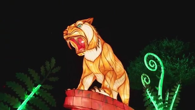 Oakland Zoo to reopen on Friday, Glowfari event extended