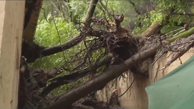 Mudslide and tree fall force 19 Fairfax residents to evacuate