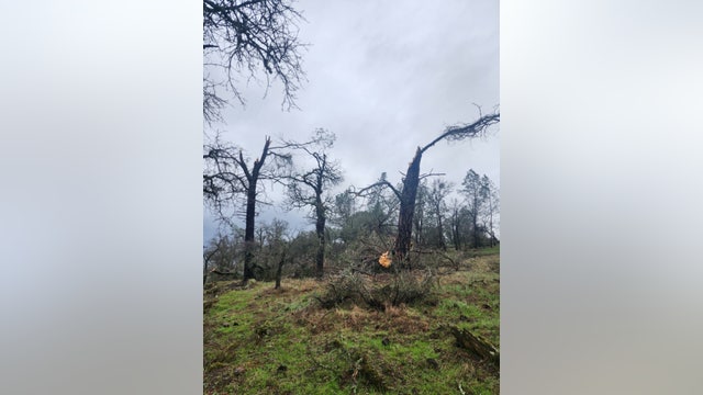 California tornado snaps trees with 90 mph winds