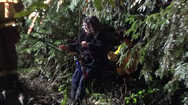 Man, woman, dog rescued after car careens off Highway 17 embankment
