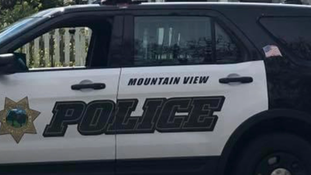 Armed suspects rob Mountain View jewelry store, shoot towards witness: Police