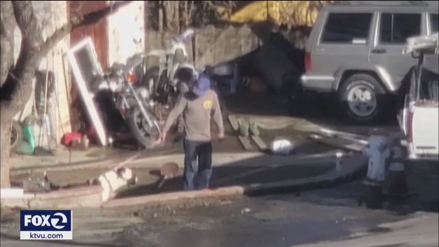 Pitbull euthanized after several attacks, including 8-year-old girl in Martinez