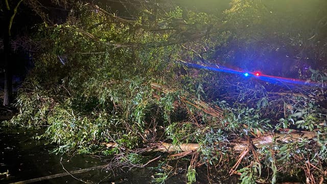 Downed trees cause road closures in Walnut Creek, Danville