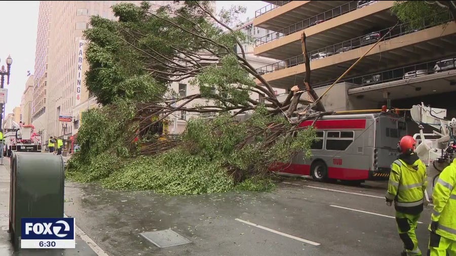 San Francisco crews working to remove downed trees and branches