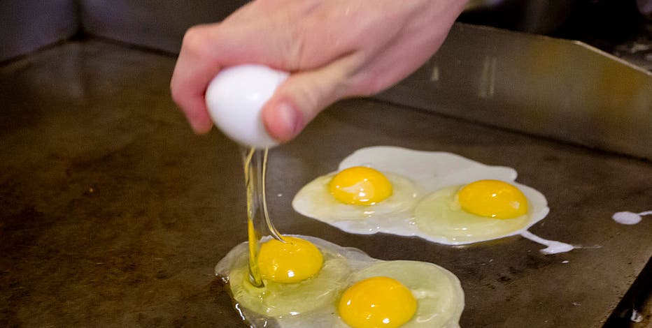 It s no yolk nationwide egg shortage rages on