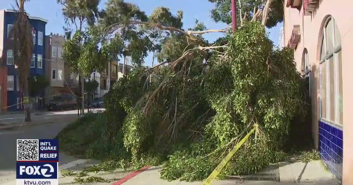 Fierce winds wreak havoc across Bay Area | KTVU FOX 2
