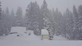 Sierra snow lab reports more than 7 inches of snow, more on the way