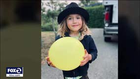 Mountain lion in attack on 5-year-old in Half Moon Bay won't be removed from wild