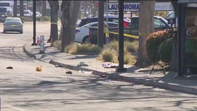 Woman dies after hit-and-run in Mountain View