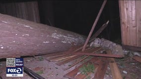 Redwood tree crashes into Boulder Creek home seriously injuring 1-year-old