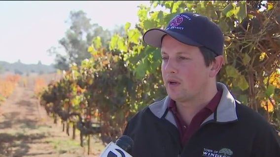 Former reality TV star sues ex-Windsor mayor over sex assault allegations