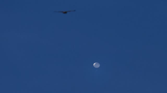 U.S. military shoots down suspected spy balloon