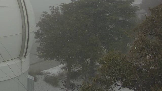 Freeze warning issued for many parts of the Bay Area