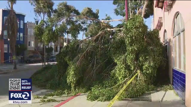Fierce winds wreak havoc across Bay Area