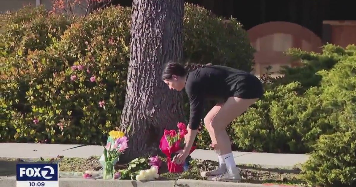 Arrest made in San Jose hit-and-run that left mother, dog dead | KTVU FOX 2