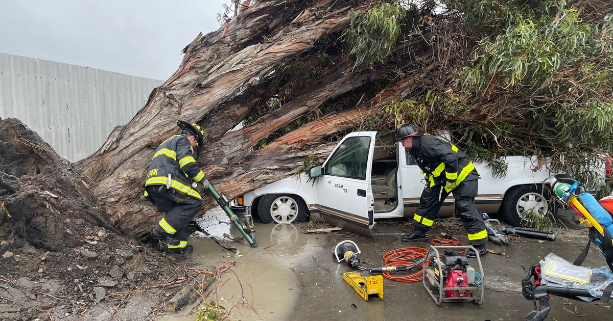 Bay Area emerges from deadly storm | KTVU FOX 2