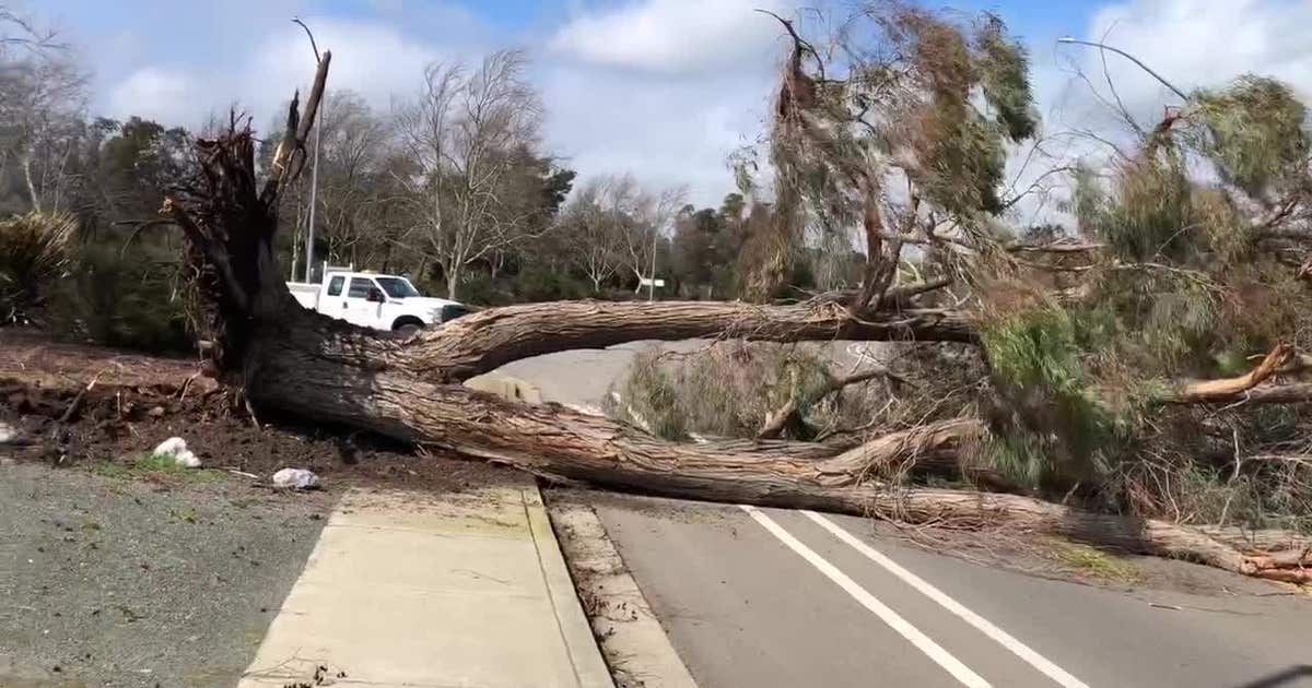 Bay Area wind, rain cause widespread damage | KTVU FOX 2