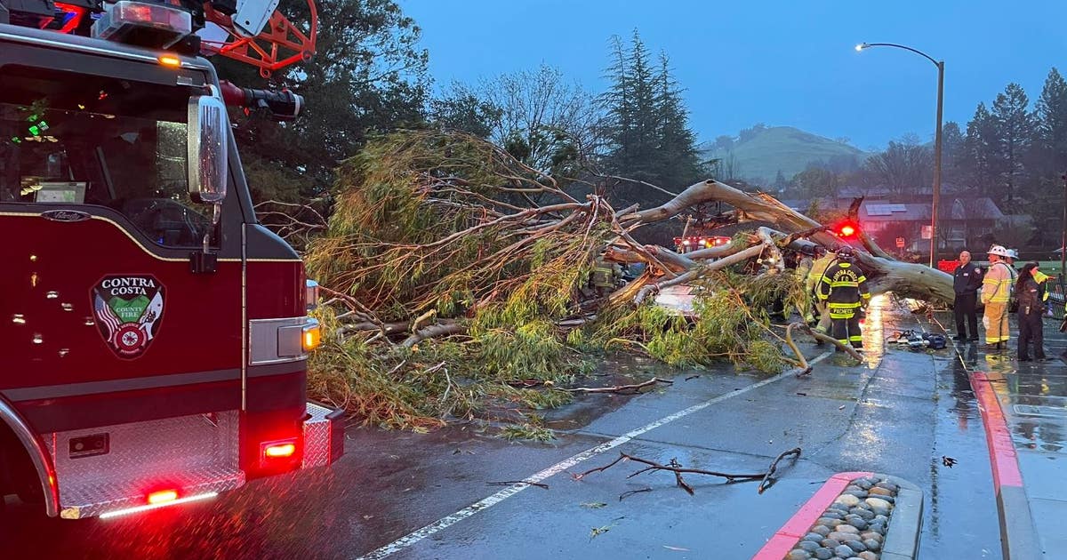 Bay Area storm kills at least 5, knocks out power, brings traffic to a ...