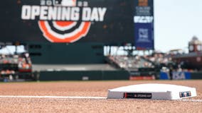 Oracle Park stadium experience among the best: survey