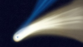 'Comet of a decade' to whiz past Earth in likely first visit in 4.5 billion years